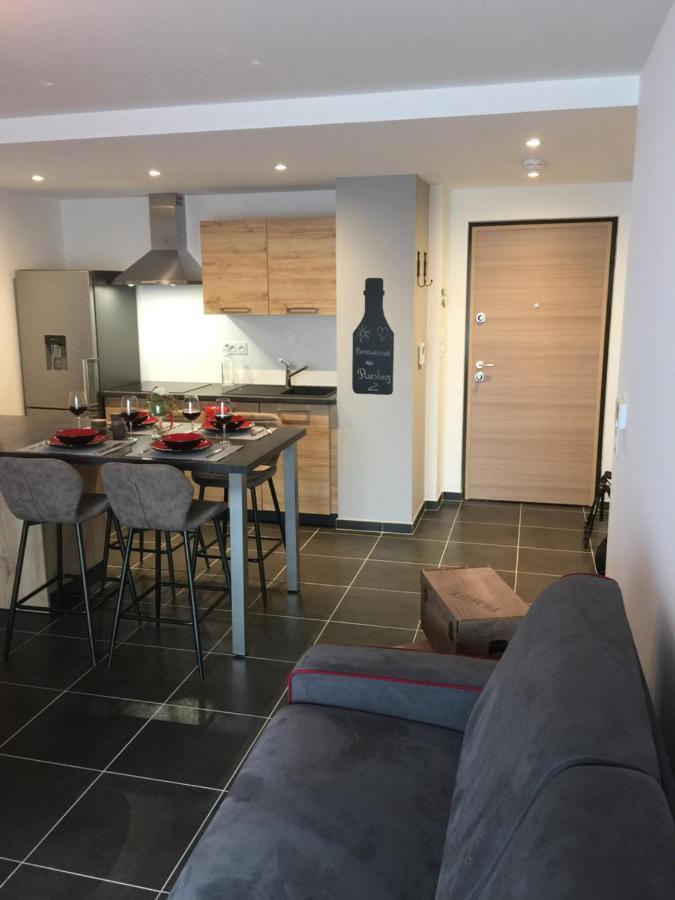 Le Riesling Colmar Centre Charmant Appartement Avec Terrasse Et Parking Gratuit 외부 사진