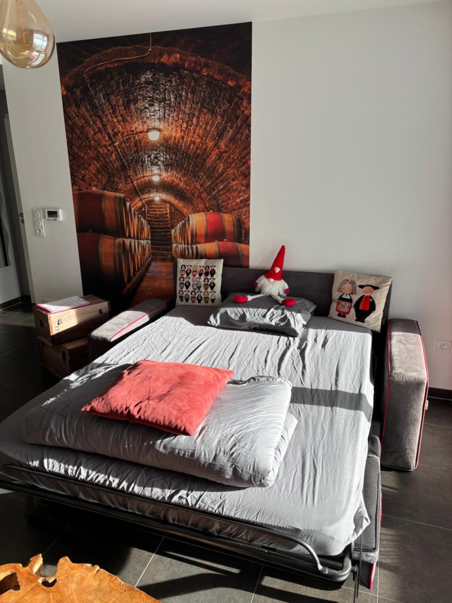 Le Riesling Colmar Centre Charmant Appartement Avec Terrasse Et Parking Gratuit 외부 사진